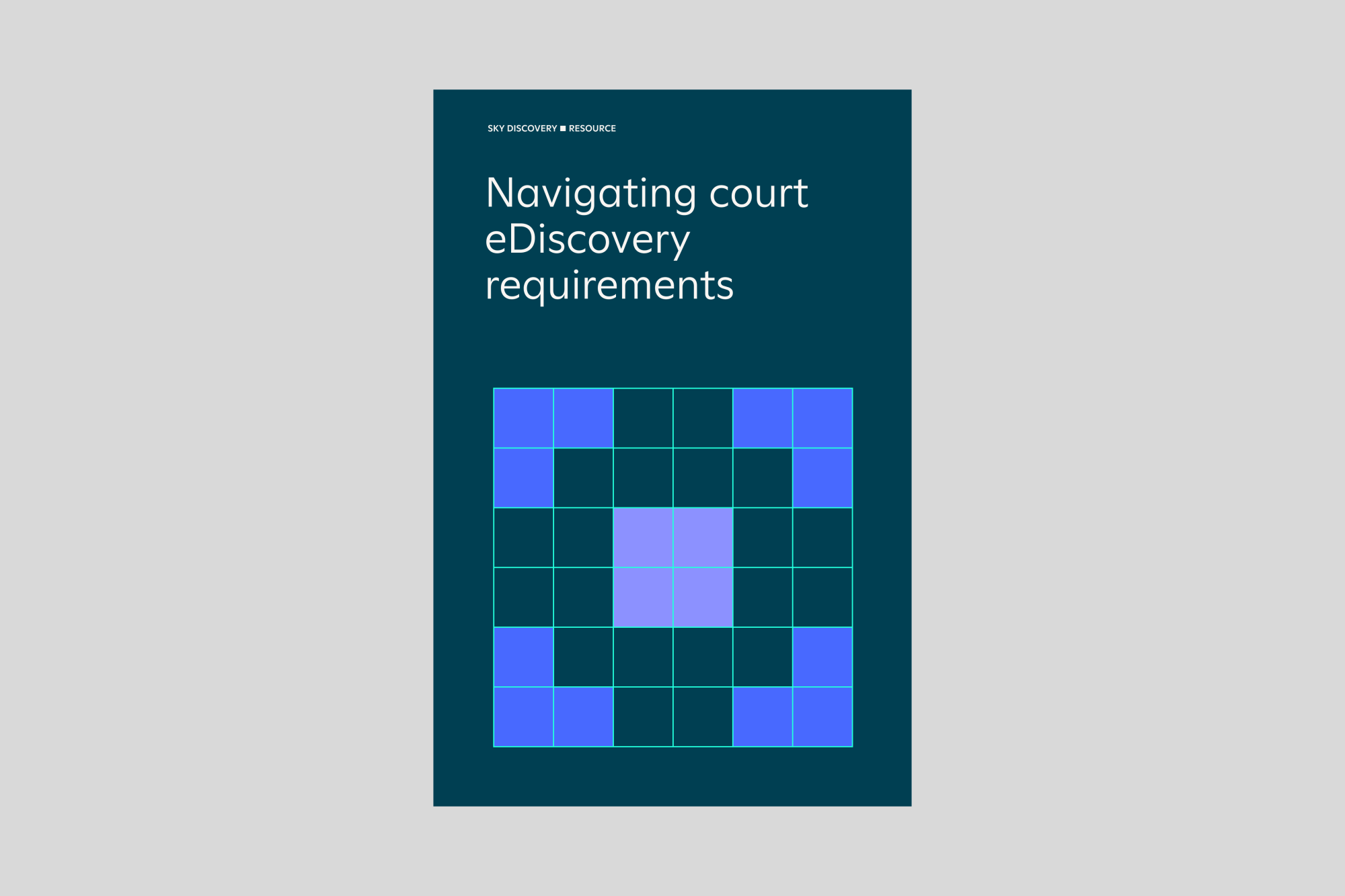 SKY-navigating-court-ediscovery-24-07