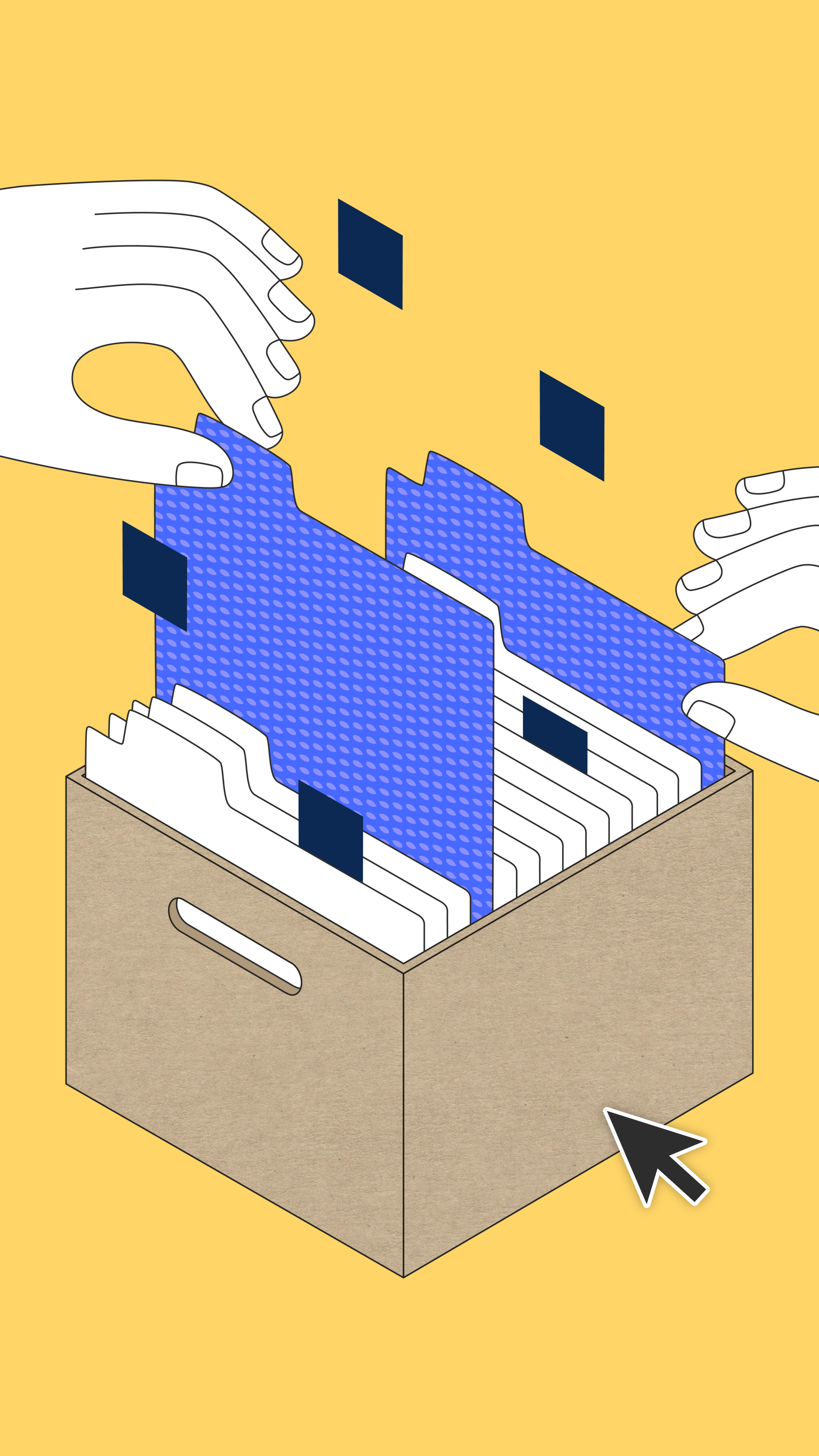 sky-graphic-portrait-cardboard-folder-b