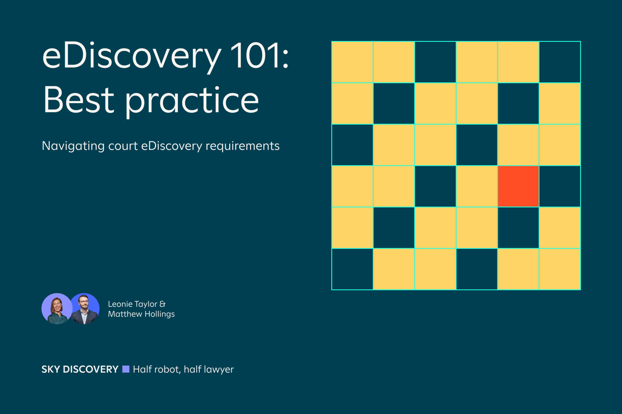 SKY-presentation-cpd-court-mandated-ediscovery-_preview-1